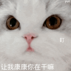 示例图片